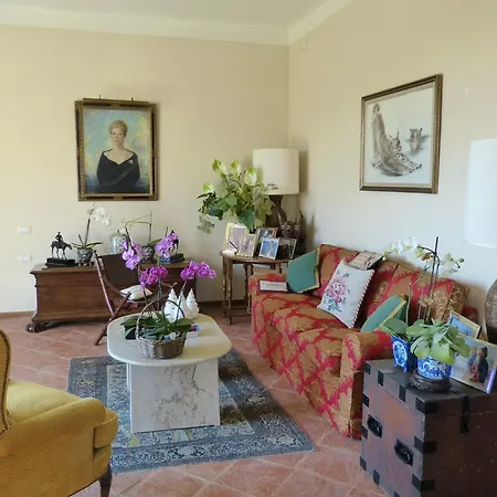 فيلة Monterosoli *