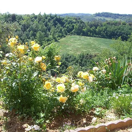 فيلة Monterosoli بالايا