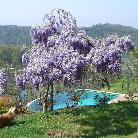 Monterosoli Villa