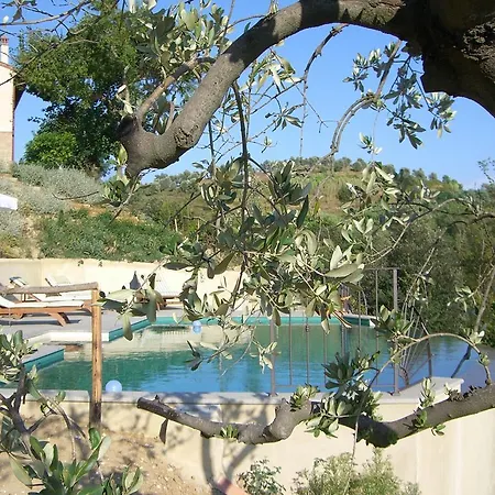 Monterosoli Villa Palaia